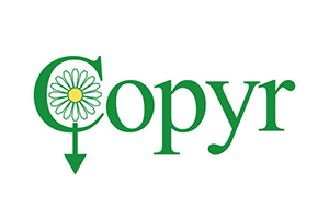 logo Copyr